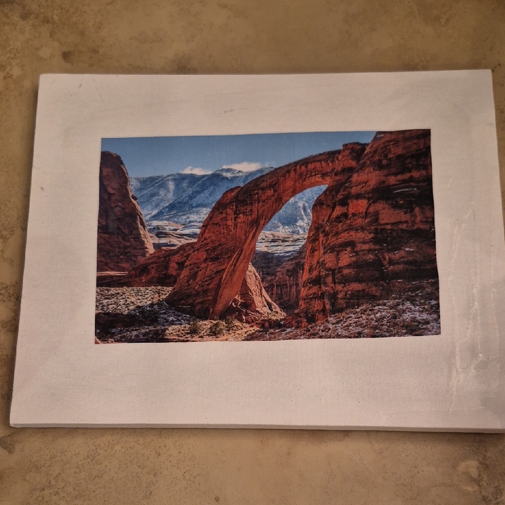 Scenic Arch Canvas Art